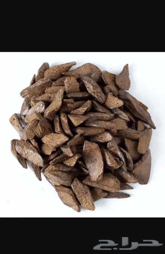عرض على العود 4