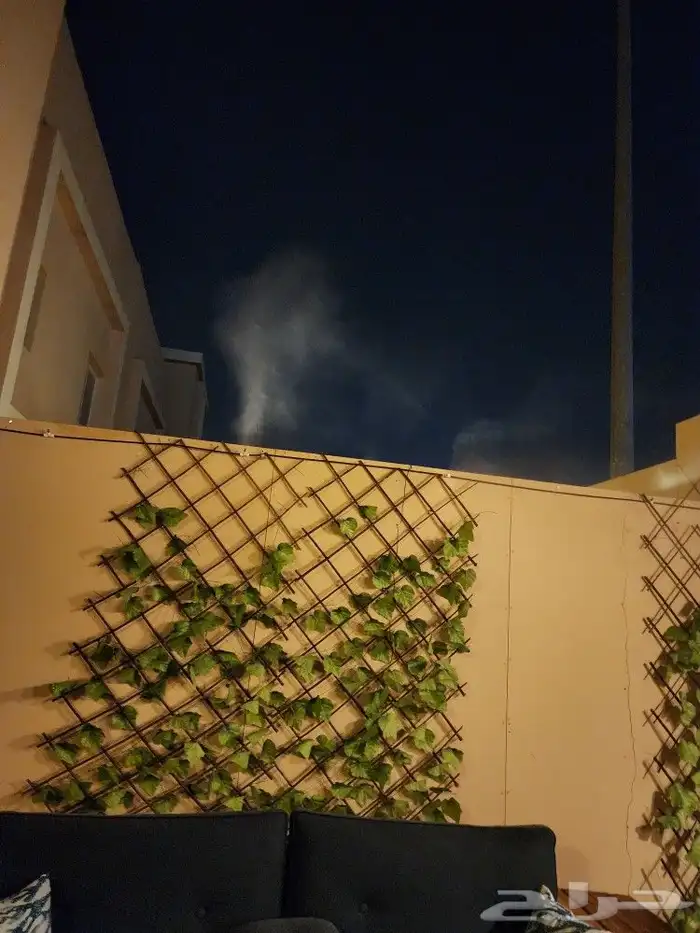 ضباب ورذاذ المحور الصافي 2