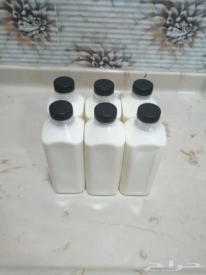 حليب ولبن بقري طازج 16