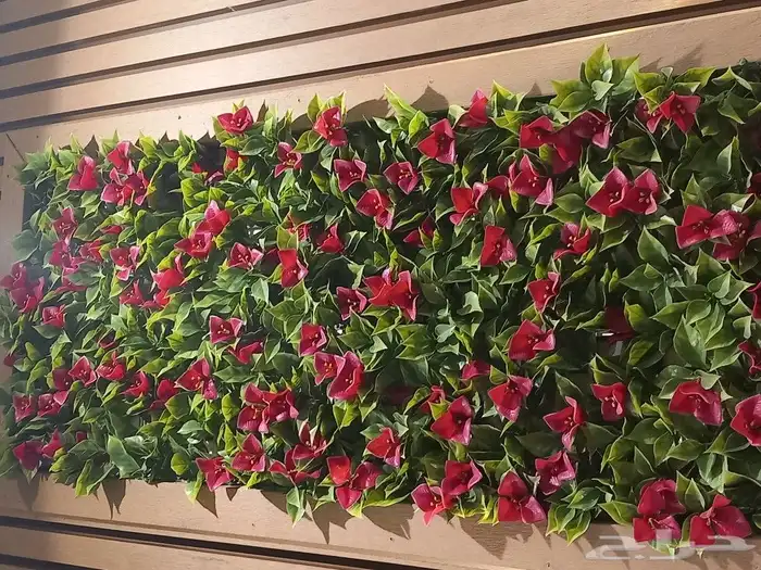 عشب صناعى وتكسيات خشبيه 2