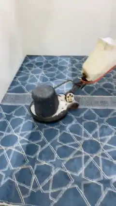 شركة تنظيف مساجد بجازان -غسيل وتنشيف وتعطير السجاد 1