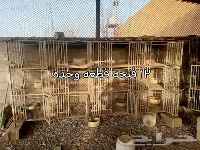 محاكر للبيع 0