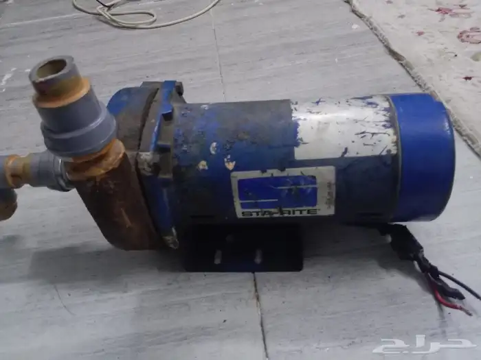 دينمو سمنان حصان ونص 1