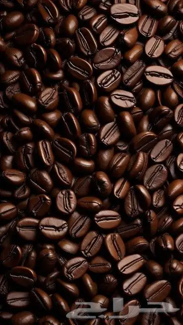محمصة ميندوزا للقهوة المختصة والبلند 2