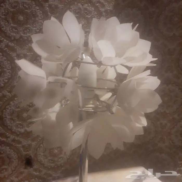 ابجورة علاشكل ورد ابيض عدد2 ابجورة 0