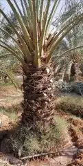 تسوير المزارع والأراضي وتركيب شبوك الملاعب 8