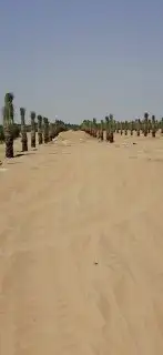 تسوير المزارع والأراضي وتركيب شبوك الملاعب 7