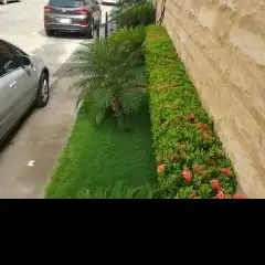 تصميم وتنسيق حدائق حديثه ابو ريان 4