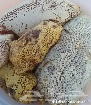 عسل النحل البري (عسل سدر) او سمره الكيلو 300ريال والصحن 400 12
