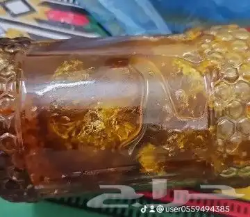 عسل النحل البري (عسل سدر) او سمره الكيلو 300ريال والصحن 400 13