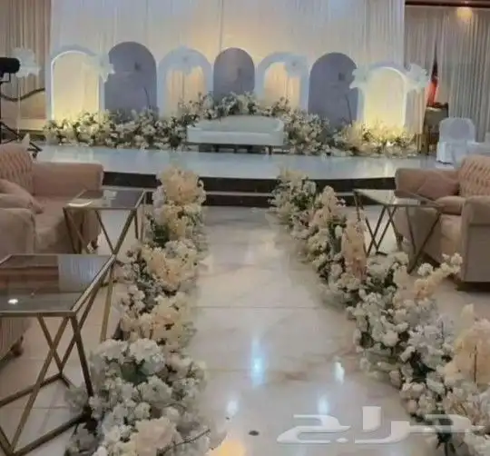 كوشات خميس مشيط واضواحيها وتوصيل لكل مناطق الجنوب 8