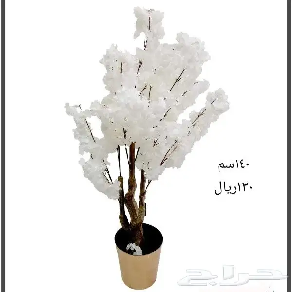 شجر بورد ملون 8