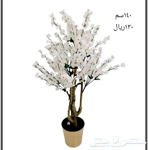 شجر بورد ملون 12