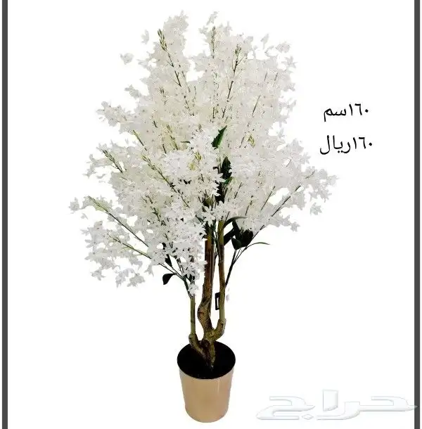 شجر بورد ملون 9