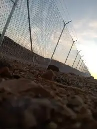 مقول شبوك وبندورات 3