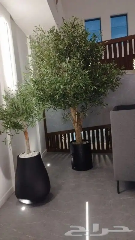 اشجار زيتون صناعي 4