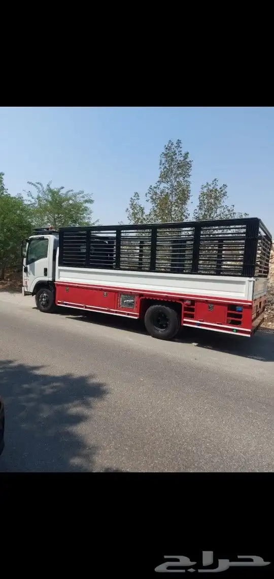 دينا شبك نقل الأثاث من الشرقية إلى جميع مدن المملكة 0