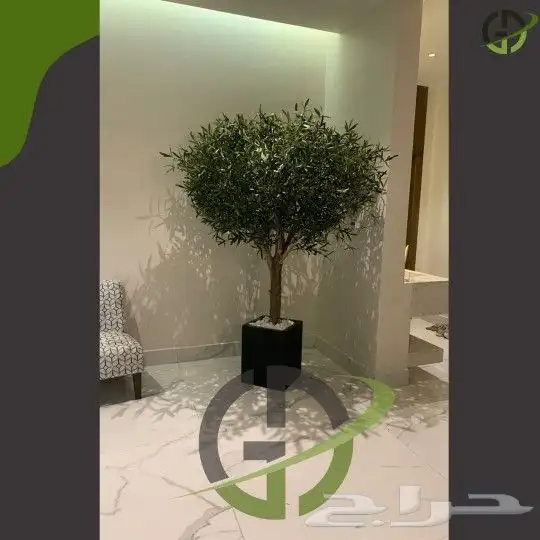 اشجار زيتون صناعي 1