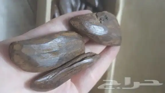 اطياب منوعه عود وخشب عود وعنبر وياسمين وورد ودهن وزعفران 8