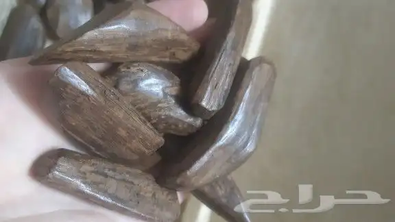 اطياب منوعه عود وخشب عود وعنبر وياسمين وورد ودهن وزعفران 7