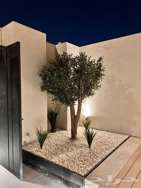 اشجار زيتون صناعي 9