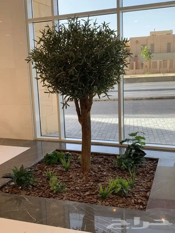 اشجار زيتون صناعي 6