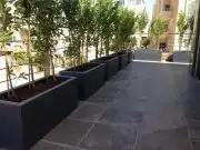 زراعة وحدائق 5