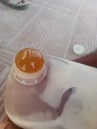عسل سدر حضرمي درجة أولى بالكيلو والنص كيلو والربع 3