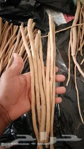 الاراك الدمام 3