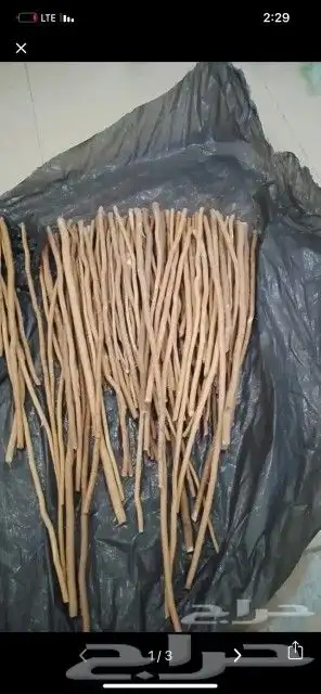 الاراك الدمام 4