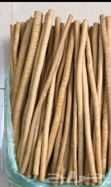 الاراك الدمام 1