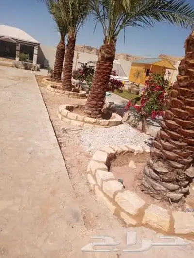 نقوم بتركيب الشبوك المجلفنه وسياج الأمني بجميع انواعها وتوري 6