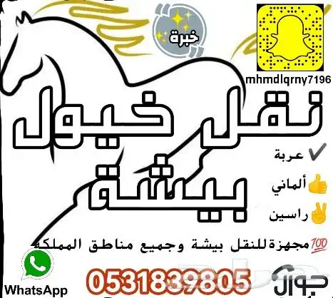 عربة نقل خيل راسين مشاوير داخل بيشة و خارجها 0