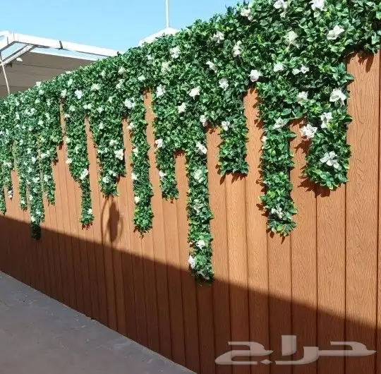 عشب جداري 6