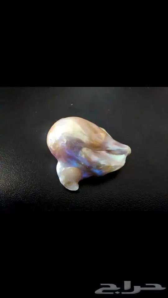 لؤلؤ المحيط طبيعي ( أستراليا ) 3