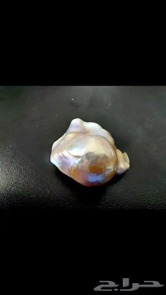 لؤلؤ المحيط طبيعي ( أستراليا ) 2
