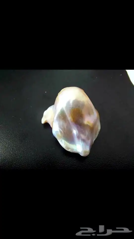 لؤلؤ المحيط طبيعي ( أستراليا ) 5