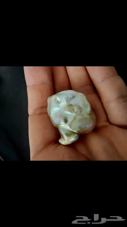 لؤلؤ المحيط طبيعي ( أستراليا ) 4