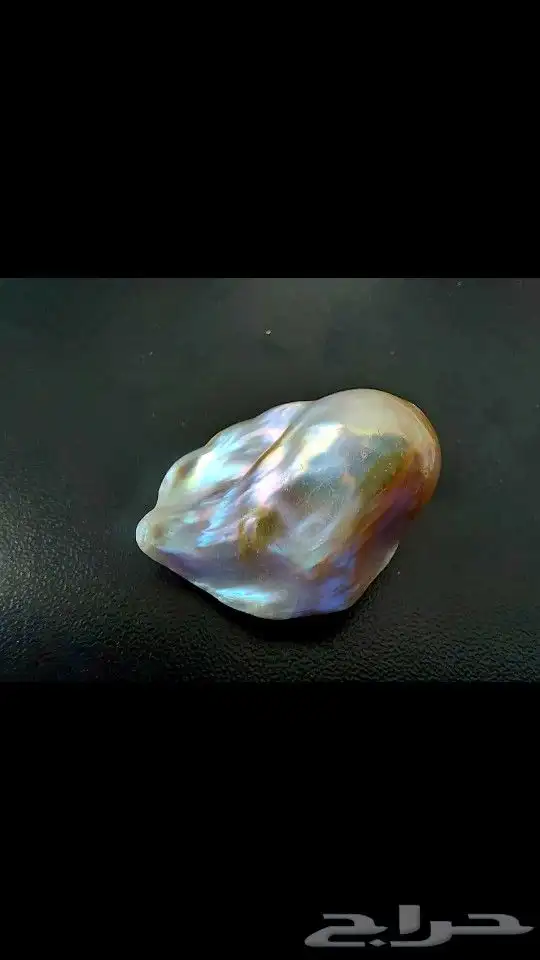 لؤلؤ المحيط طبيعي ( أستراليا ) 0