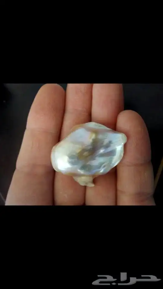 لؤلؤ المحيط طبيعي ( أستراليا ) 1