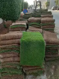 منسق حدائق وزراعة الثيل 3