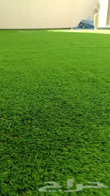 عشب جدارى عشب ارضى بسعر الجملة 1