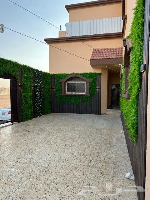 عشب جدارى عشب ارضى بسعر الجملة 8