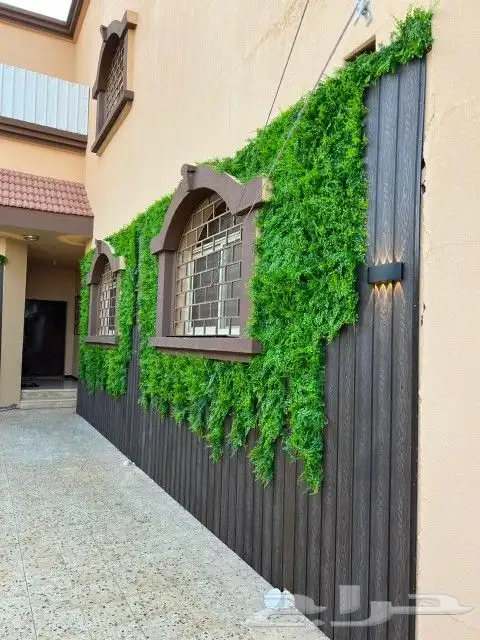 عشب جدارى عشب ارضى بسعر الجملة 3