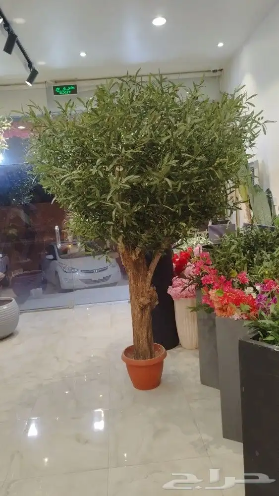 اشجار زيتون صناعي 9