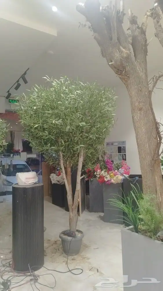 اشجار زيتون صناعي 0