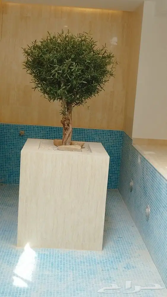 اشجار زيتون صناعي 4