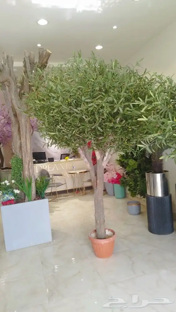 اشجار زيتون صناعي 7