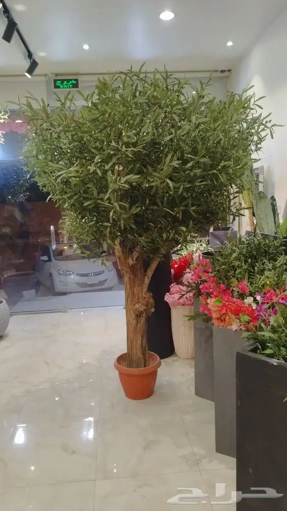 اشجار زيتون صناعي 8