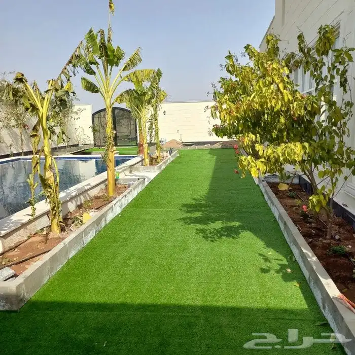 عشب جدارى عشب ارضى بسعر الجملة 9